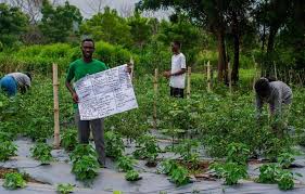 Water and climate smart farming