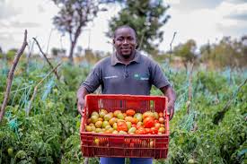 Post-harvest and food processing